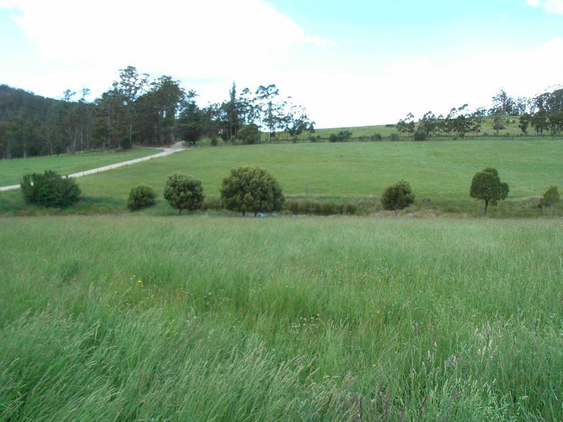 189 Lottah Road, Goulds Country TAS 7216