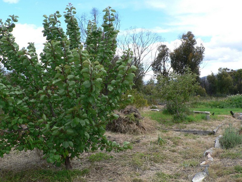 23318 Tasman Highway, Scamander TAS 7215