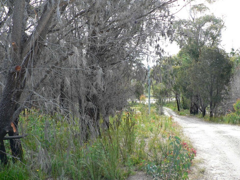 23318 Tasman Highway, Scamander TAS 7215