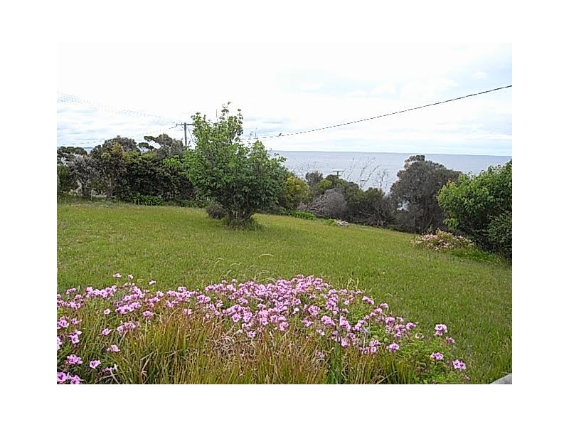 1 Hilltop Drive, Binalong Bay TAS 7216