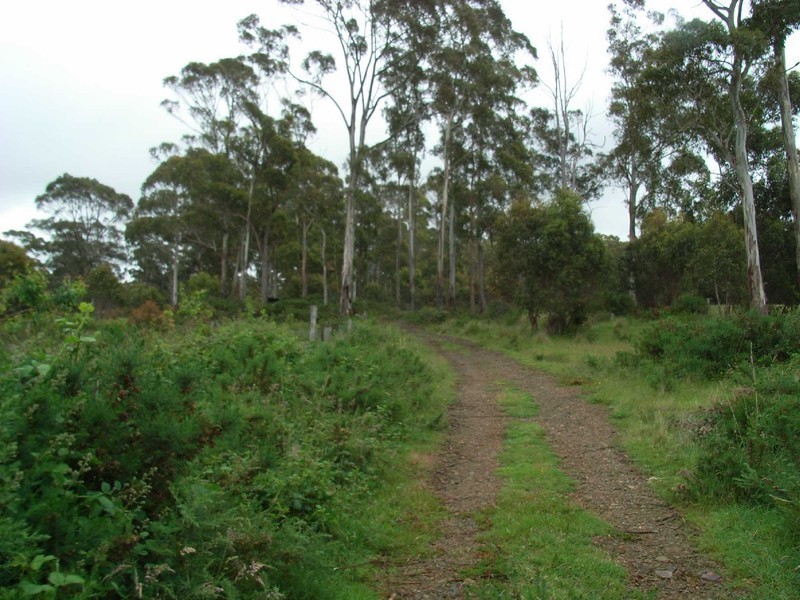 7445 Esk Main Road, St Marys TAS 7215