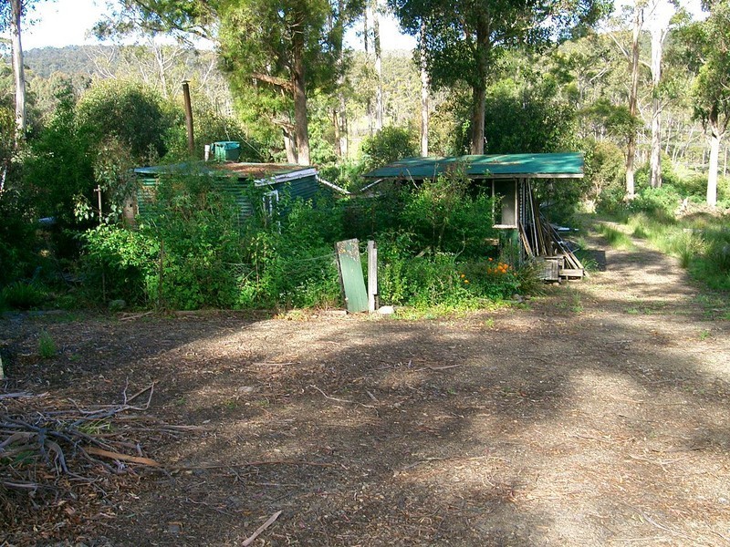 7445 Esk Main Road, St Marys TAS 7215