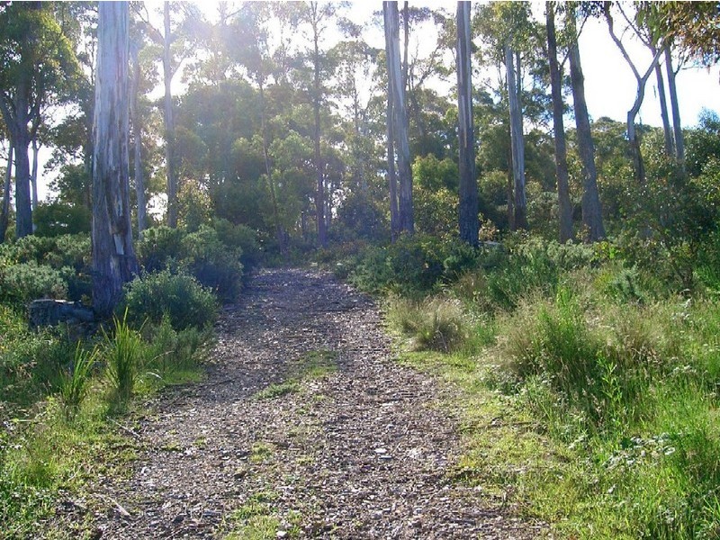 7445 Esk Main Road, St Marys TAS 7215