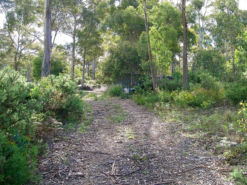 7445 Esk Main Road, St Marys TAS 7215