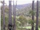 Lot 2 Nicklason Road, Pyengana TAS 7216