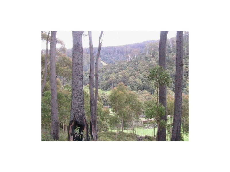 Lot 2 Nicklason Road, Pyengana TAS 7216