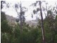 Lot 2 Nicklason Road, Pyengana TAS 7216