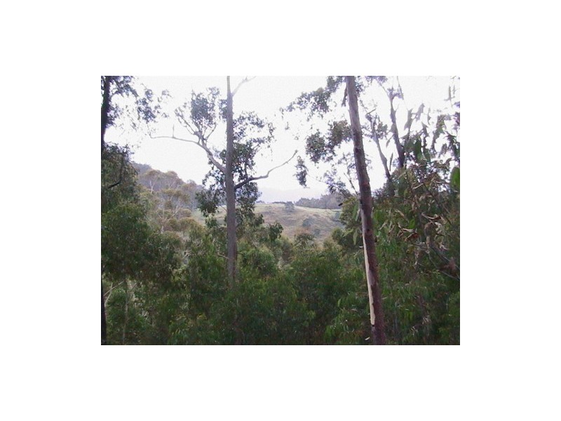 Lot 2 Nicklason Road, Pyengana TAS 7216