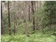 Lot 2 Nicklason Road, Pyengana TAS 7216