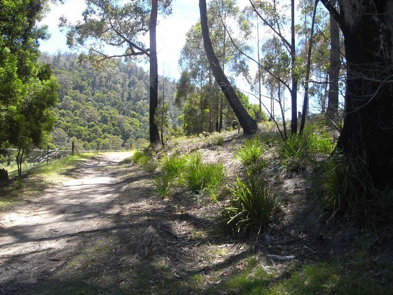 Lot 2 Nicklason Road, Pyengana TAS 7216