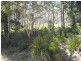 Lot 2 Nicklason Road, Pyengana TAS 7216