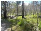 Lot 2 Nicklason Road, Pyengana TAS 7216