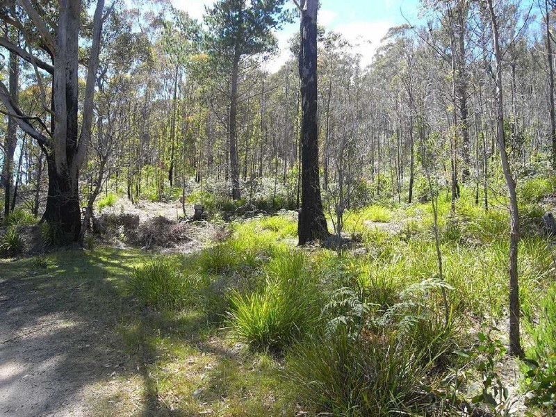 Lot 2 Nicklason Road, Pyengana TAS 7216