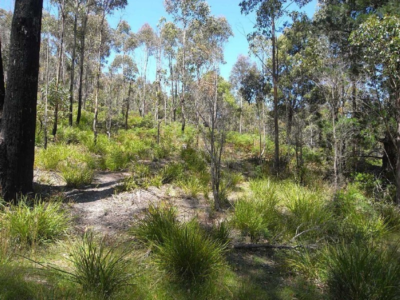 Lot 2 Nicklason Road, Pyengana TAS 7216