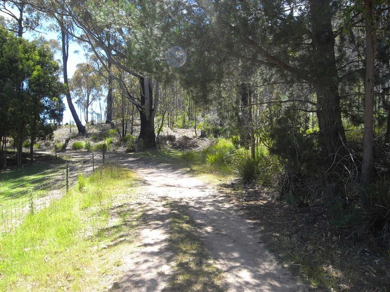 Lot 2 Nicklason Road, Pyengana TAS 7216