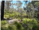 Lot 2 Nicklason Road, Pyengana TAS 7216