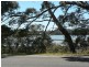 62 Medeas Cove Esplanade, St Helens TAS 7216