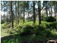Lot 8 Lottah Road, Lottah TAS 7216