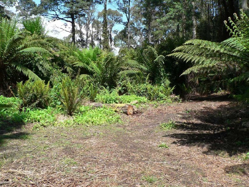 Lot 8 Lottah Road, Lottah TAS 7216
