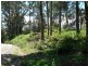 Lot 8 Lottah Road, Lottah TAS 7216