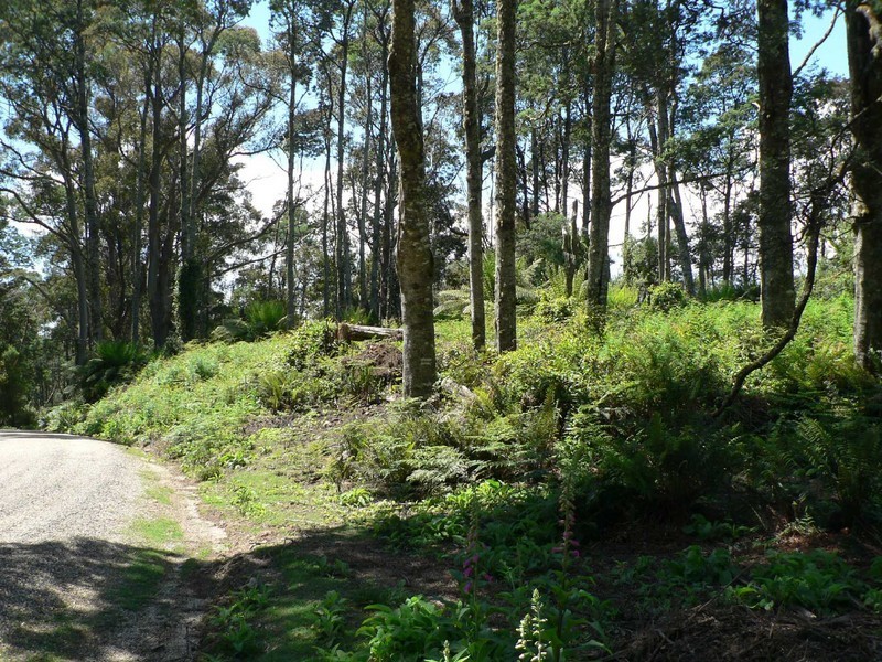 Lot 8 Lottah Road, Lottah TAS 7216