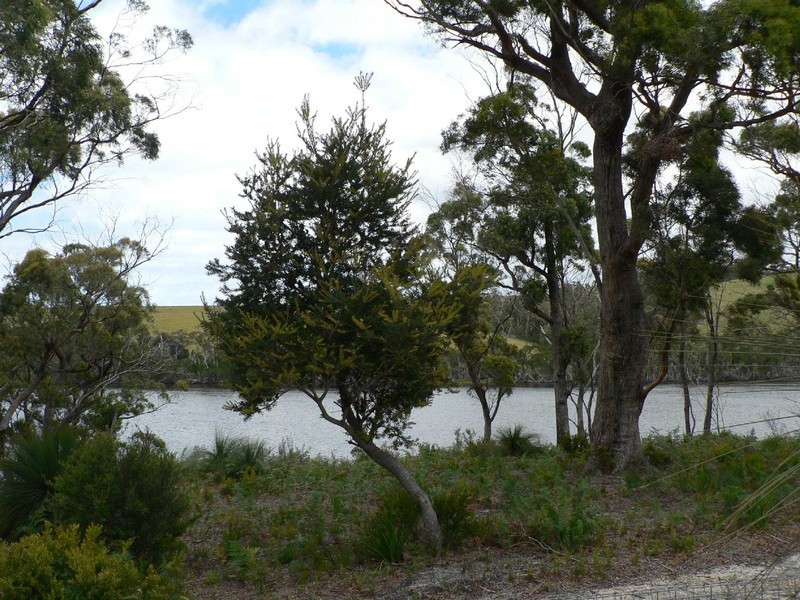 12 Blackwood Court, Ansons Bay TAS 7216
