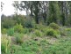 . Dublin Town Road, St Marys TAS 7215