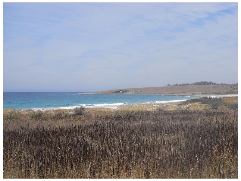 Lot 1  Four Mile Creek Road, Four Mile Creek TAS 7215