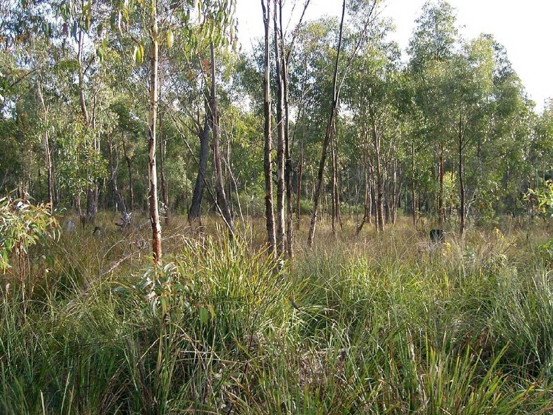 Lot 2 Tasman Highway, St Helens TAS 7216