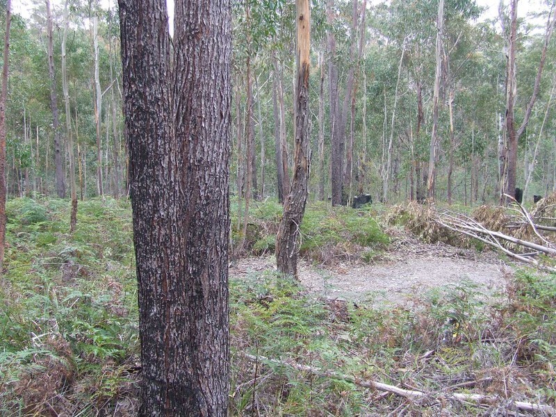 Lot 2 Tasman Highway, St Helens TAS 7216