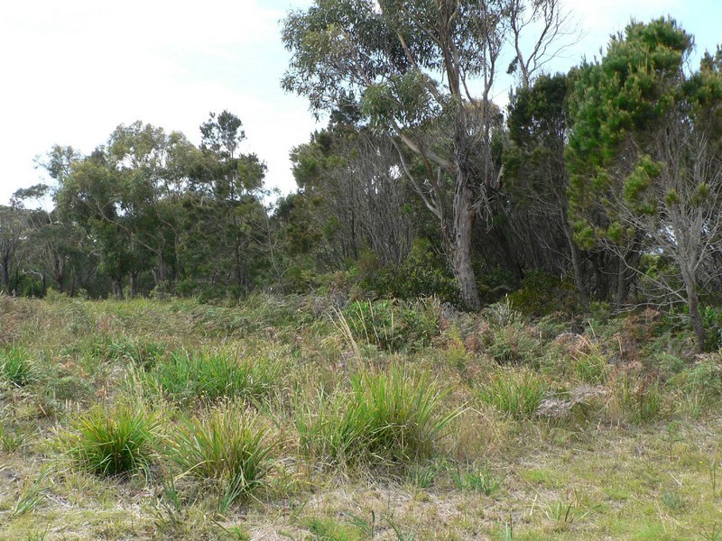 11 Belair Crescent, Beaumaris TAS 7215