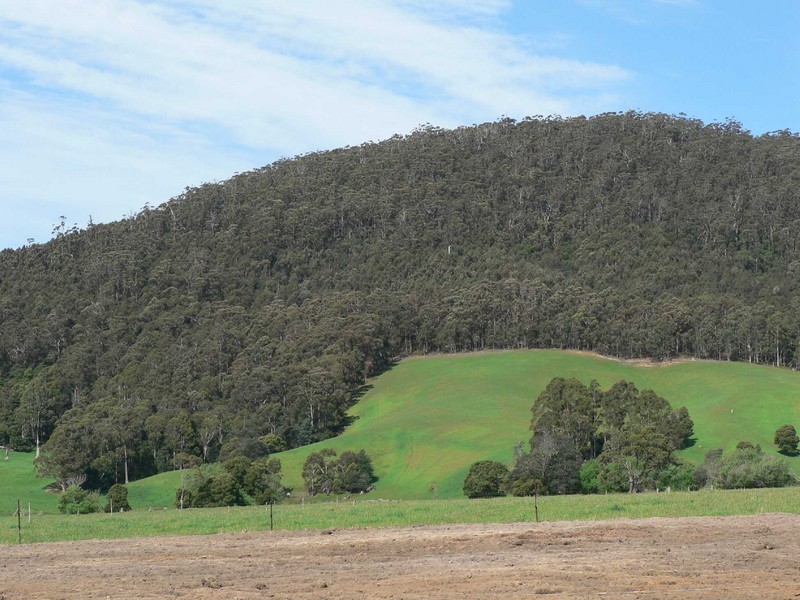 80 Kohls Road, Pyengana TAS 7216