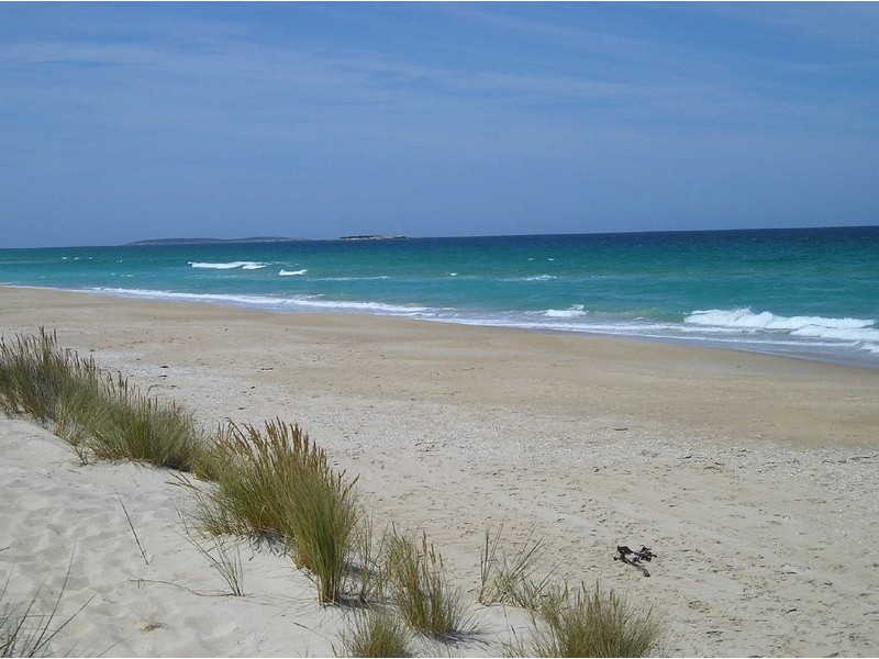 Freshwater Street, Beaumaris TAS 7215