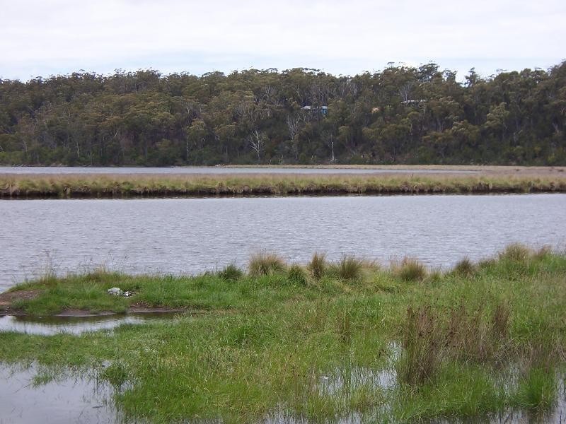 Lot 111 Upper Scamander Road, Scamander TAS 7215