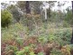 Lot 111 Upper Scamander Road, Scamander TAS 7215