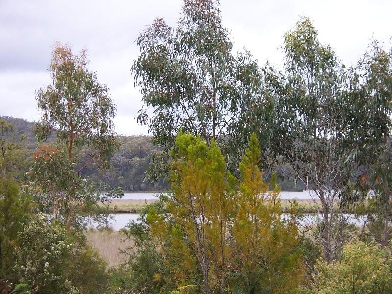 Lot 111 Upper Scamander Road, Scamander TAS 7215