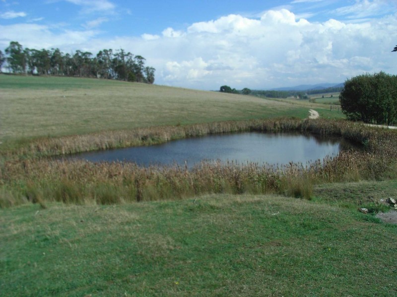 179 Reids Road, St Helens TAS 7216