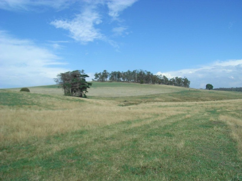 179 Reids Road, St Helens TAS 7216