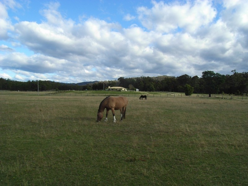 179 Argonaut Road, St Helens TAS 7216