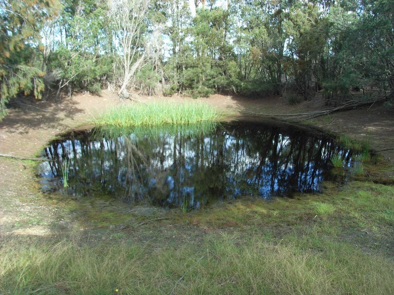 179 Argonaut Road, St Helens TAS 7216