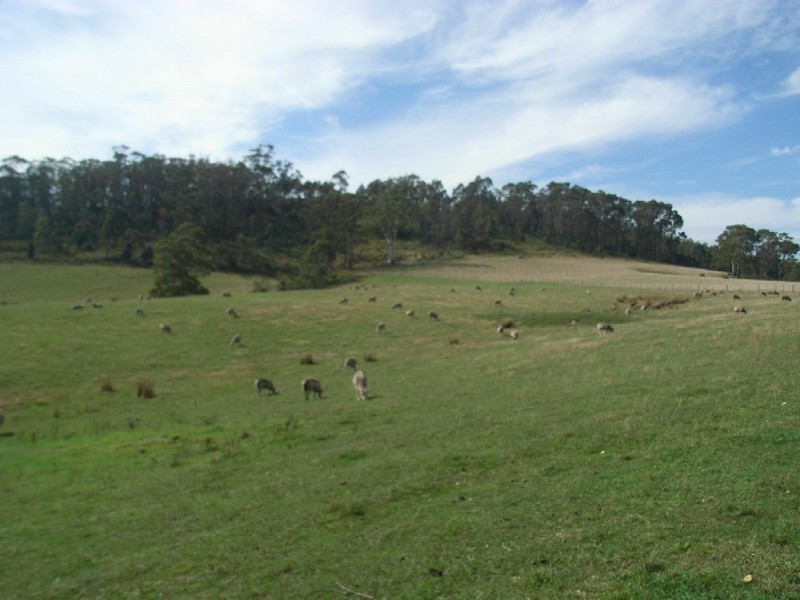 179 Reids Road, St Helens TAS 7216