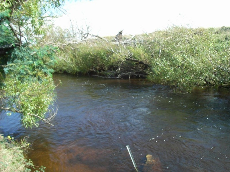 179 Reids Road, St Helens TAS 7216