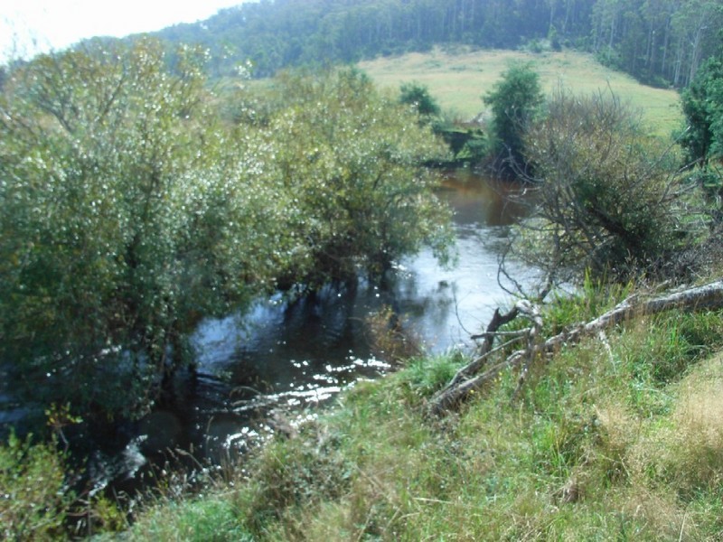 179 Reids Road, St Helens TAS 7216