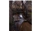 358 Terry Vale Road, Goshen TAS 7216