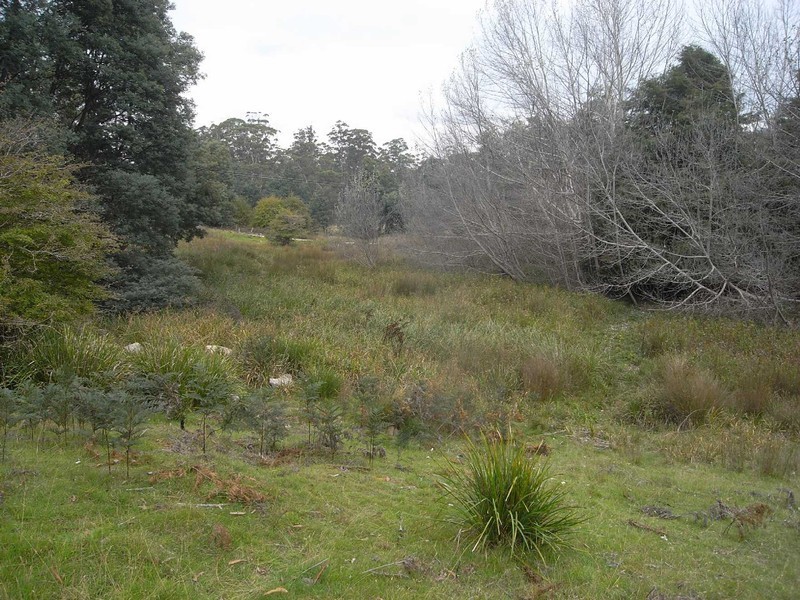 358 Terry Vale Road, Goshen TAS 7216