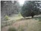 358 Terry Vale Road, Goshen TAS 7216