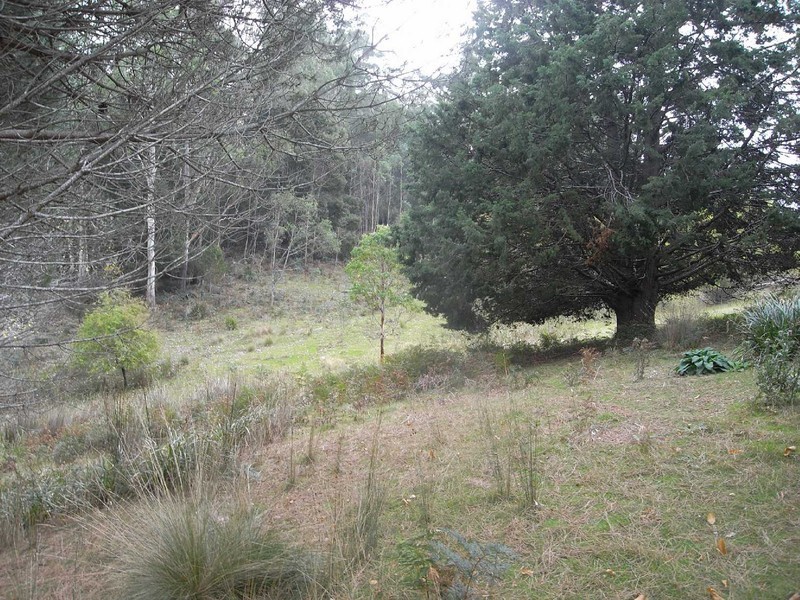 358 Terry Vale Road, Goshen TAS 7216