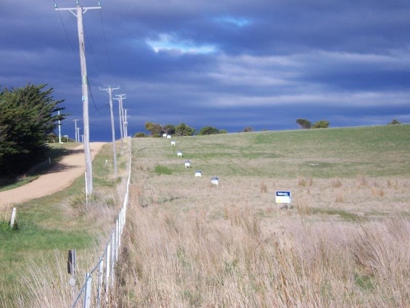 Franks Street, Falmouth TAS 7215