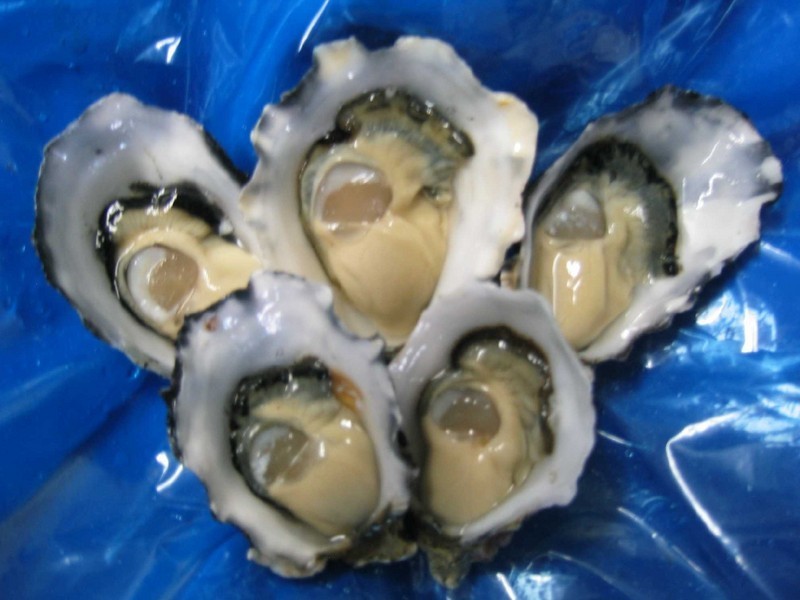 18 Medea Cove Esplanade, St Helens TAS 7216