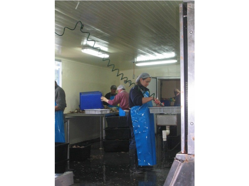 18 Medea Cove Esplanade, St Helens TAS 7216